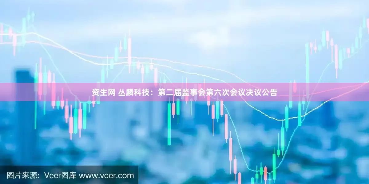 资生网 丛麟科技：第二届监事会第六次会议决议公告